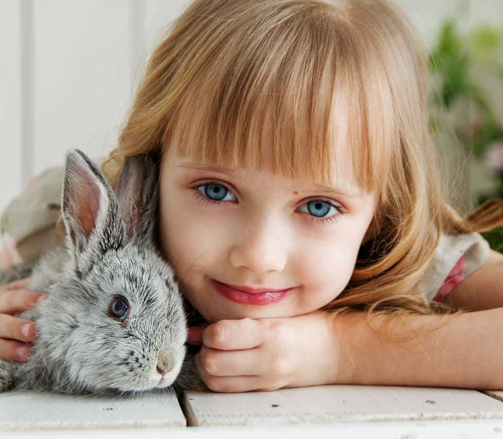 Счастливая семья 